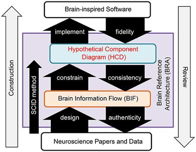 Brain-consistent architecture for imagination